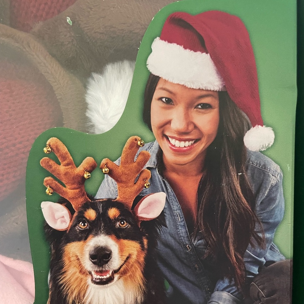 Santa’s Helper Hat & Dog Antlers Set, S/M